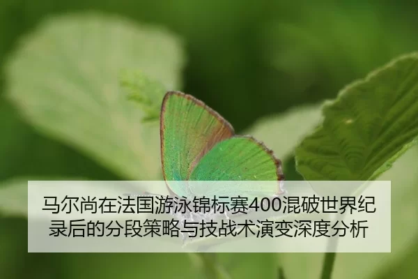 ma-er-shang-zai-fa-guo-you-yong-jin-biao-sai-hun-po-shi-jie-ji-lu-hou-de-fen-duan-ce-lve-yu-ji-zhan-shu-yan-bian-shen-2-431.jpg